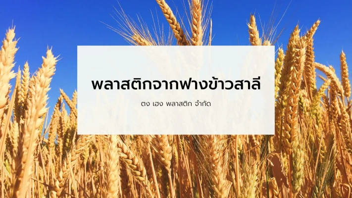 พลาสติกจากฟางข้าวสาลี